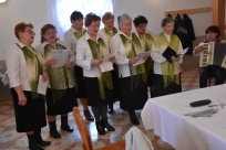 Występ zespołu "Przocielki"